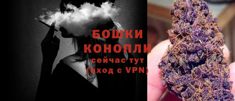 Каннабис Ganja  Павловский Посад 